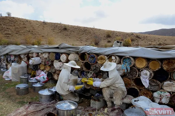 Kilosu 350 TL! 3 bin rakımda üretilen karakovan balından bu yıl 250 ton bekleniyor - 6