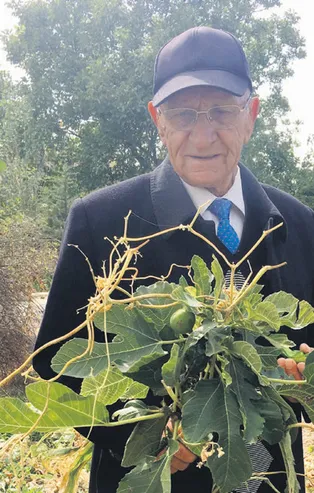 Ankara'da akıl almaz olay! Dayı yeğen imza taklit ederek vurgun yaptı