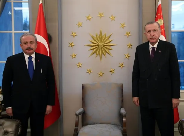 son-dakika-baskan-erdogan-tbmm-baskani-mustafa-sentopu-kabul-etti-1610467570078.jpeg Son dakika: Başkan Erdoğan TBMM Başkanı Mustafa Şentop'u kabul etti-1