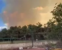 Son dakika: İstanbul Sultangazi’de orman yangını
