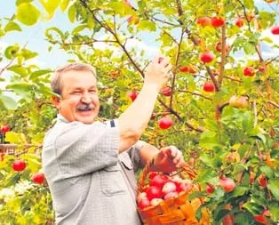 Hükümetten üreticiye destek