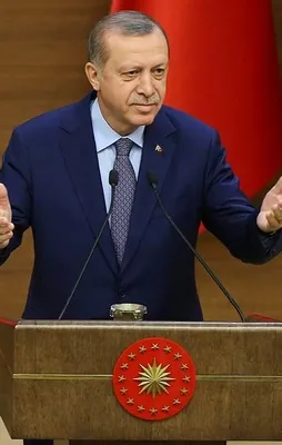 Erdoğan'dan seferberlik çağrısı