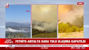Muğla Seydikemer’de orman yangını! Fethiye-Antalya karayolu kapatıldı
