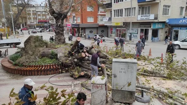 siddetli-lodos-bursa-kestelde-270-yillik-cinar-agacini-kokunden-soktu-1638176768470.jpg Şiddetli lodos Bursa Kestel'de 270 yıllık çınar ağacını kökünden söktü-4