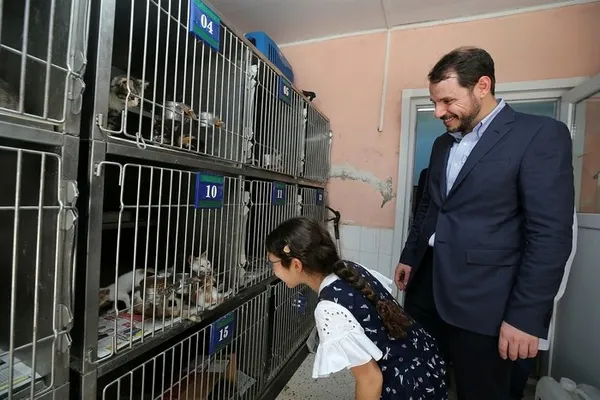 Bakan Albayrak'tan yavru köpeğe işkence açıklaması-4