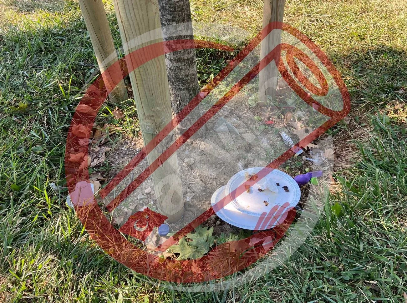 Takvim.com.tr rezaleti görüntüledi: Çırpıcı Parkı'ndan CHP'li Ekrem İmamoğlu'nun koltuk hırsının pis kokusu yükseliyor! - 10