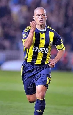 Alex sonunda her şeyi itiraf etti