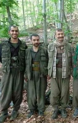 Amanos'ta PKK'ya büyük darbe! Hepsi öldürüldü