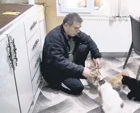 Boş olan dairesini barınağa dönüştürdü! 17 kediye bakıyor