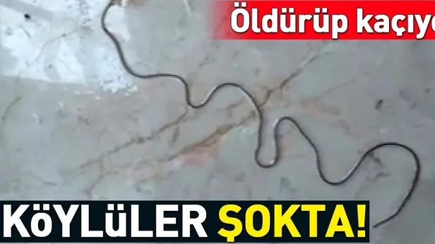 Koyluler Sokta Oldurup Kaciyor Takvim