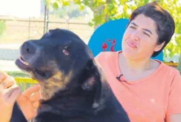 ’Dog’ böyle vurgun