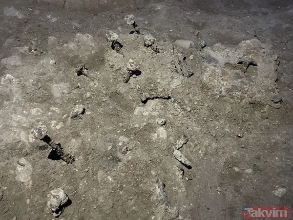 Tam 1500 yıllık! Perre Antik Kenti'nde gizemli tarihi yapı keşfedildi - 15