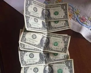 Merkez valisinin evinden de 1 dolar çıktı