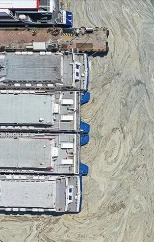 Çevre ve Şehircilik Bakanlığından 7 ile genelge! 8 Haziran'da en büyük deniz temizliği seferberliği başlatılacak