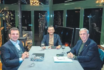 Tavşan aday aranıyor