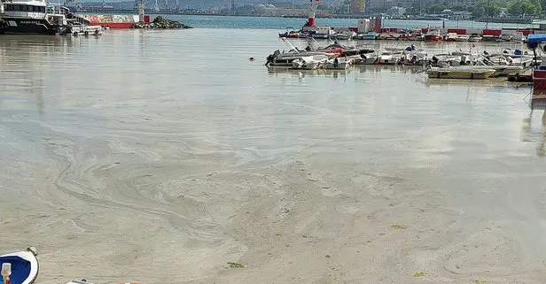 Marmara Denizi’nde müsilaj temizliği! Bakan Kurum son durumu açıkladı!