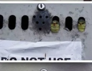 Öyle bir yere yuva yaptı ki