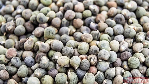 Hem zayıflatıyor hem hafızayı çelik gibi yapıyor! Mucizenin bir diğer adı! Bu zamana kadar kimse adını bile duymadı ama... - 1