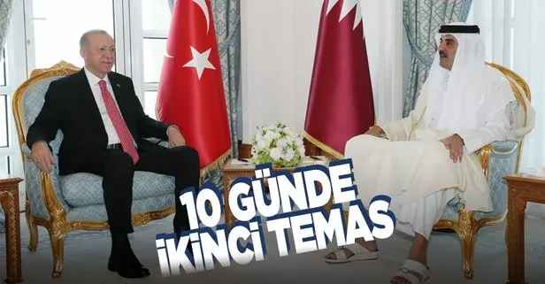 Son dakika: Başkan Erdoğan Katar Emiri Al Sani ile görüştü
