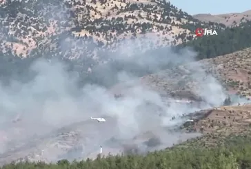 Kahramanmaraş Onikişubat’ta orman yangını!