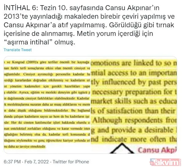 CHP'li İBB Başkanı Ekrem İmamoğlu'nun eşi Dilek İmamoğlu'nun tezinde sayfalarca intihal çıktı - 10