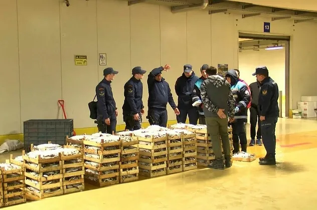 Marmara Denizi'nde balık avı denetimi: 13 ton balığa el konuldu