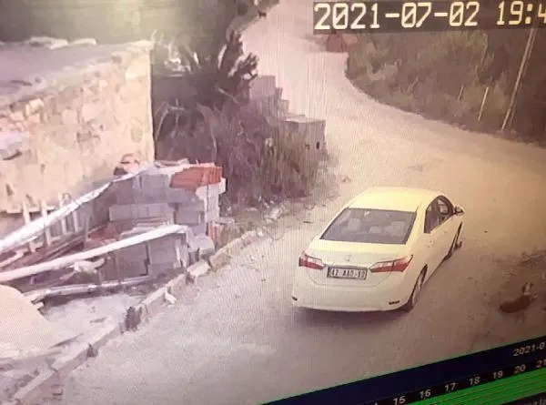 Konya'da yavru köpeği ezen sürücü arkasına bile bakmadı! O anlar güvenlik kamerasında-2