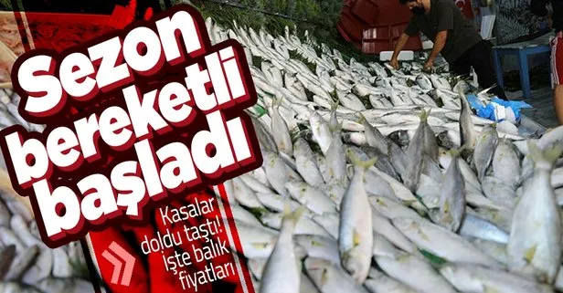 Balıkçılar ava çıktı kasalar doldu taştı! İşte balık fiyatları...
