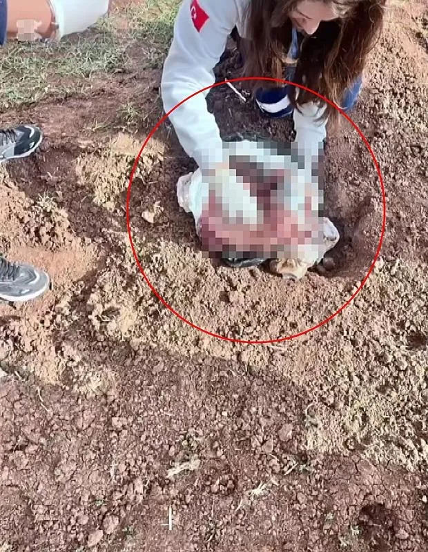 katili-en-yakini-cikti-posette-yeni-dogmus-kiz-bebek-cesedi-bulunmustu-iple-bogulup-araziye-atilmis-1740684411798.jpeg Şırnak'ın Silopi ilçesinde, yeni doğmuş bebeğini iple boğarak öldürüp, cesedini poşete koyarak araziye atan anne ve ona yardım eden 1 şüpheli, yakalanarak tutuklandı. (DHA)