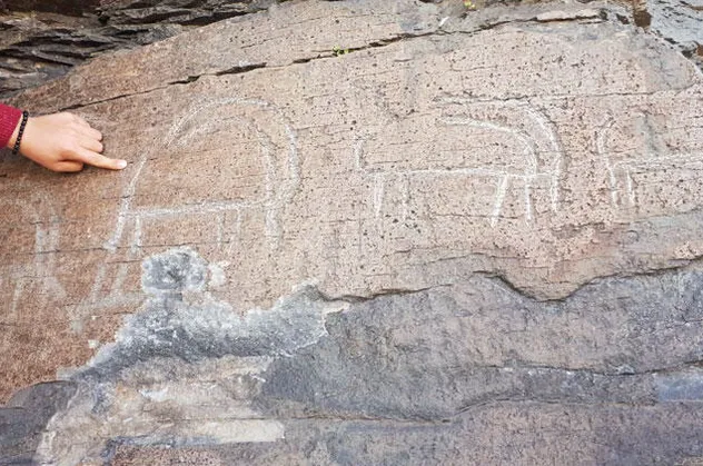 Kars'ta bulundu! Adı gizli tutuluyor