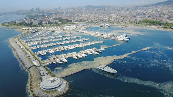son-dakika-pendik-marinada-deniz-salyasi-nedeniyle-suyun-yuzeyi-gorunmuyor-1620394595727.jpg SON DAKİKA: Pendik Marina'da deniz salyası nedeniyle suyun yüzeyi görünmüyor-4