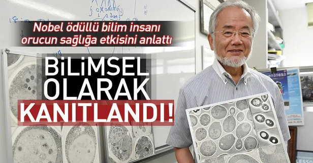 Nobel Ödüllü Japon bilim insanı: Oruç vücudun yenilenmesini sağlıyor