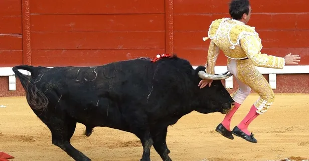 İspanya'da 15 ay sonra boğa güreşleri tekrar başladı