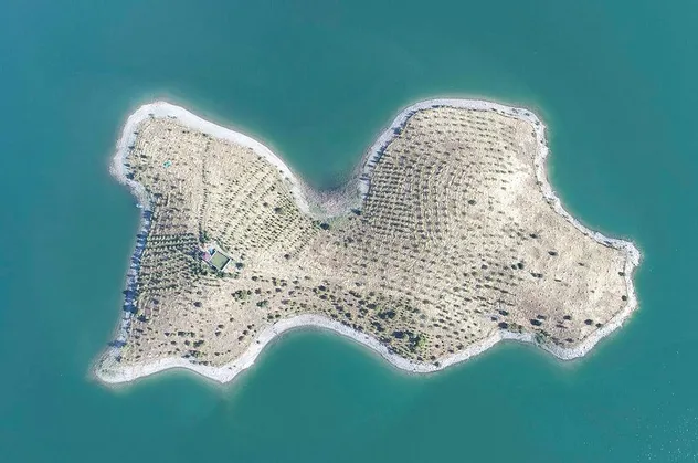 Gerçek bir "Robinson Crusoe" hikayesi! 14 yıldır bu adada tek yaşıyor