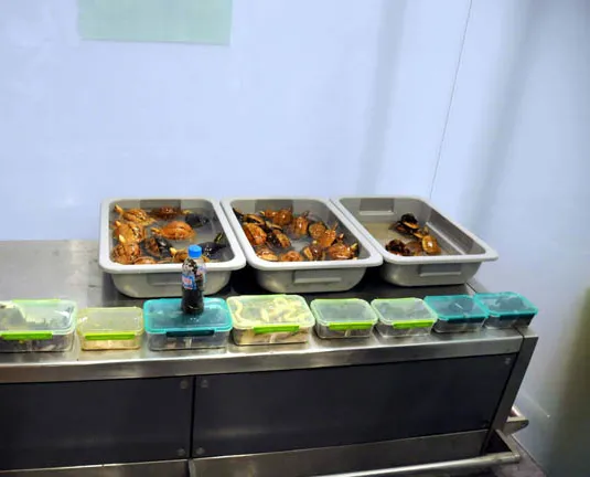 Atatürk Havalimanı’nda dehşet valizi