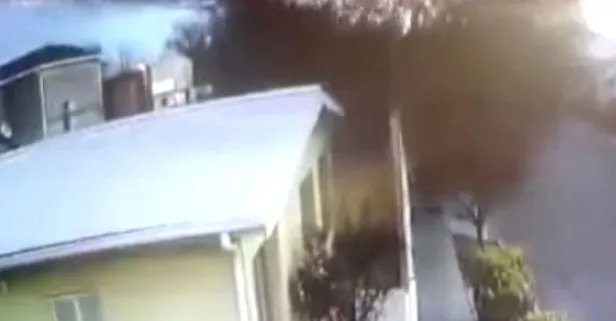 Kuş sürüsü bir anda yere çakıldı