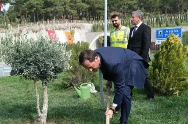 Kalyon Holding'ten rekor fidan dikimi