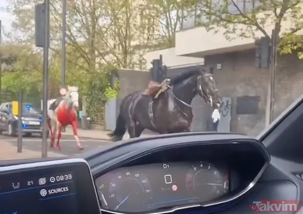 Öfkeli beş Kraliyet atı Londra’yı birbirine kattı! Kaçak atlardan biri sabıkalı çıktı: Kral Charles’ın taç giyme töreninde kafaya tekme - 9