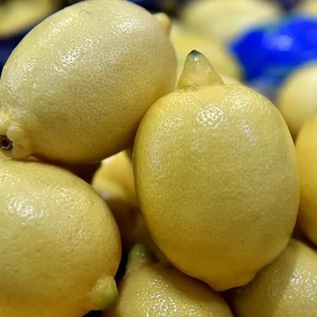 Hazımsızlığa çare limon