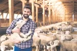 Zincir marketlerde kurbanlık kampanyaları başladı: İşte büyükbaş ve küçükbaş fiyat listesi