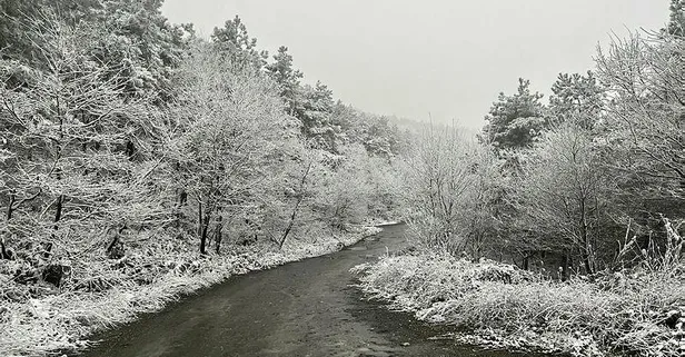 Ve İstanbul'da kar yağışı başladı! Şehrin yüksek kesimlerinde kartpostallık görüntüler