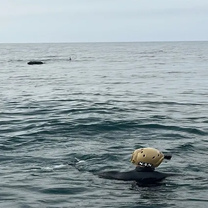 MSB duyurdu: İğneada açıklarındaki mayın SAS timleri tarafından başarıyla etkisiz hale getirildi