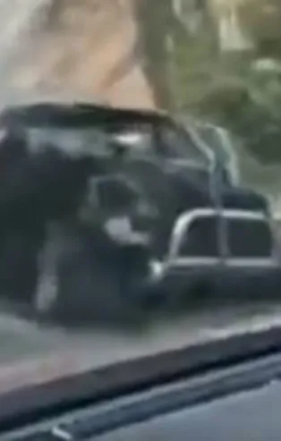 PKK'ya bir ağır darbe daha!