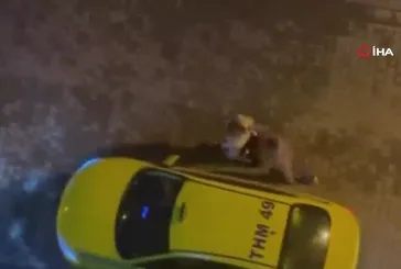 Kadıköy'de kız kardeşini darbederek zorla taksiye çalıştı! İşte o anlar