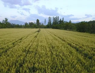 Sosyal konut başvurusu yapan vatandaşlar konut arsasına da başvurabilecek mi? Ödemeler ne olacak? Arsaya ne zaman ev yaptırabilecek?