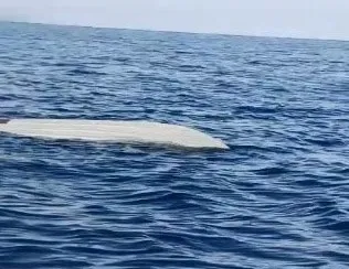 Artvin’de İHA paniği