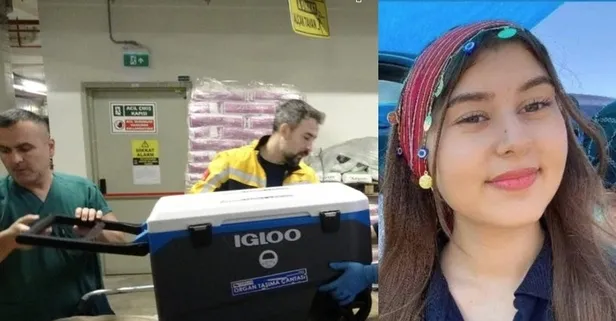 Kazaya kurban edilen Tuana'nın bağışlanan organları umut oldu: 4 ayrı ile gönderildi