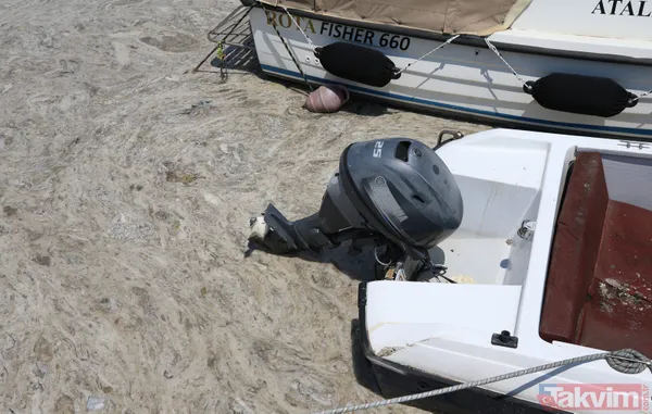 SON DAKİKA: Marmara Denizi için büyük tehlike! Deniz hala soğumadı müsilaj tehlikesi devam ediyor - 12