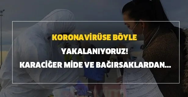 Koronavirüse böyle yakalanıyoruz! Karaciğer, mide ve bağırsaklardan...