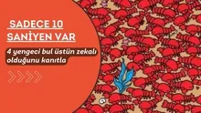 4 yengeci bul üstün zekalı olduğunu ispat et, sadece 10 saniyen var! Zeka oyunu oratlığı karıştırdı